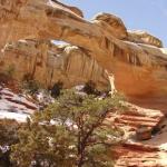 Capital Reef National Park - Utah 